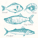 Sea Life - Cocktail Napkin
