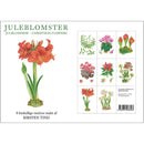 Christmas Flower Note Cards