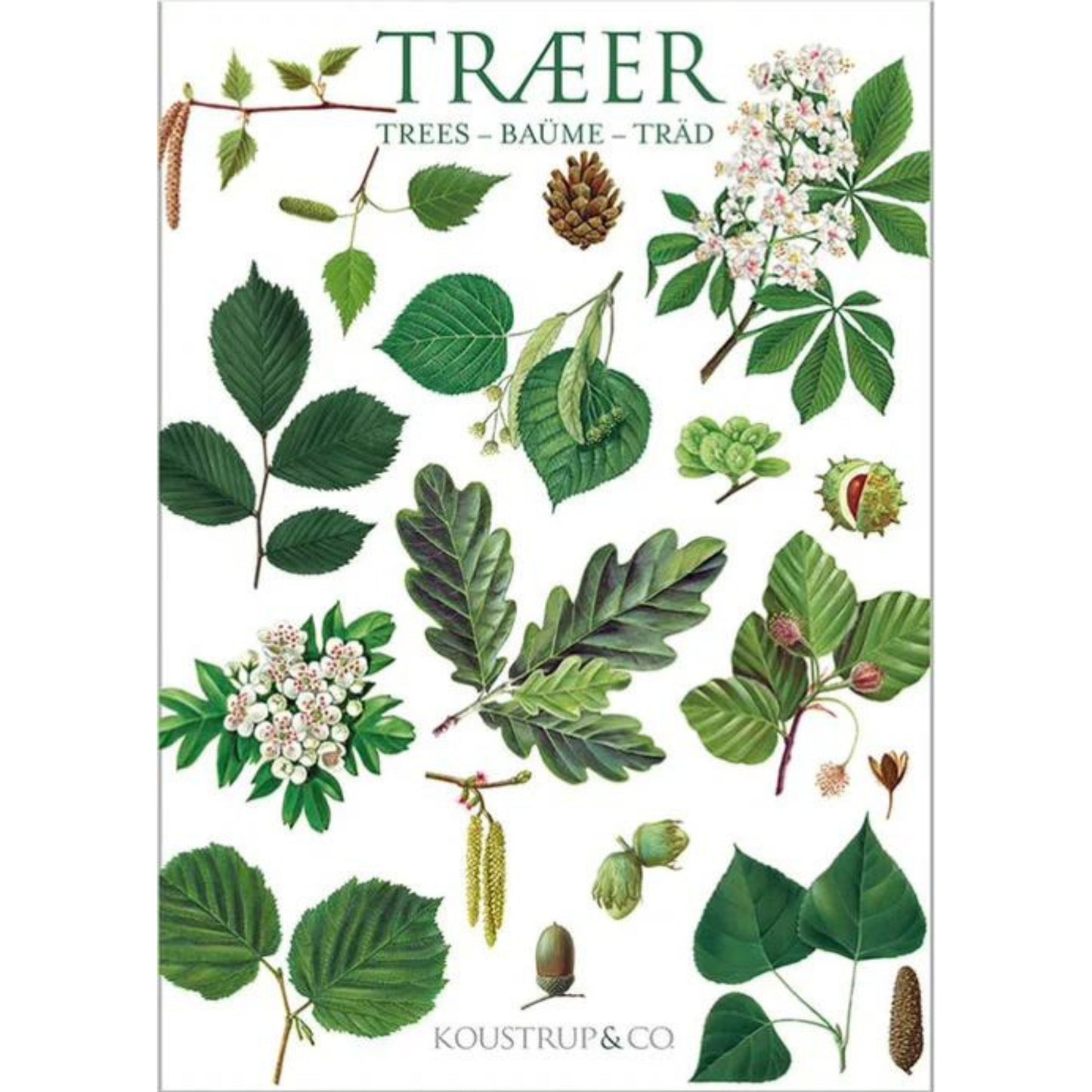 Tree Notecards, Pack of 8