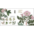 Wild Rose Square Note Cards