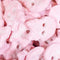 Cool Raspberry Skull Gummy Candy