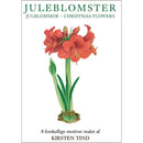 Christmas Flower Note Cards