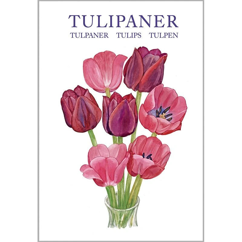 Koustrup & Co. Tulip Note Cards