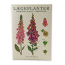 Medicinal Plants Notecards, Pack of 8