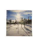 Morning Snow Swedish Dishcloth