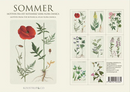 Summer Flora Danica Notecards, Pack of 8