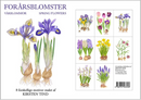 Spring Flower Notecards, Pack of 8