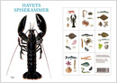 Havets Spisekammer Notecards