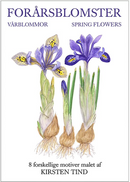 Spring Flower Notecards, Pack of 8