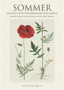 Summer Flora Danica Notecards, Pack of 8