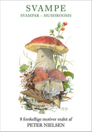 Mushroom Notecards, Pack of 8