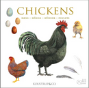 Chicken Notecards, Pack of 8