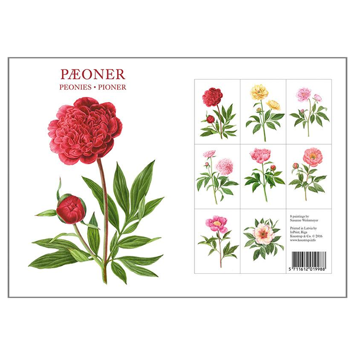 Koustrup & Co. Peonies Note Cards