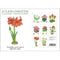 Christmas Flower Note Cards