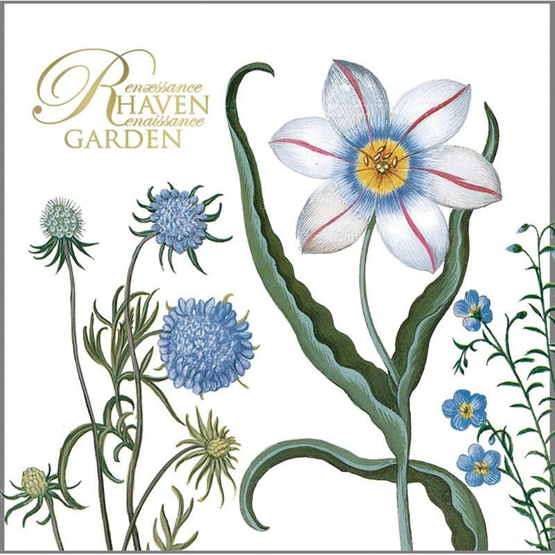 Koustrup & Co. Renaissance Garden Note Cards