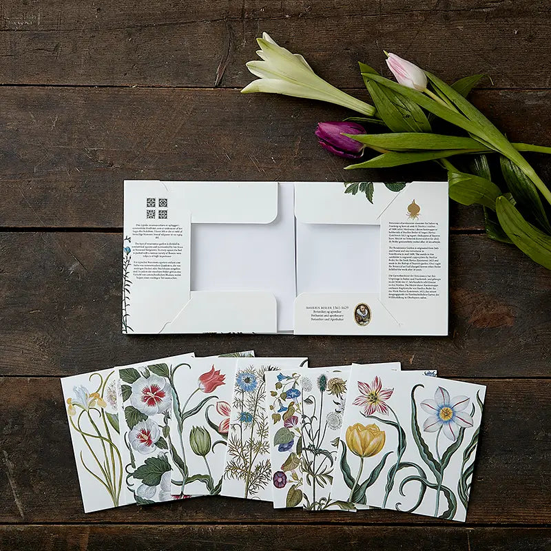 Koustrup & Co. Renaissance Garden Note Cards