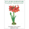Christmas Flower Note Cards
