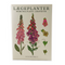 Medicinal Plants Notecards, Pack of 8