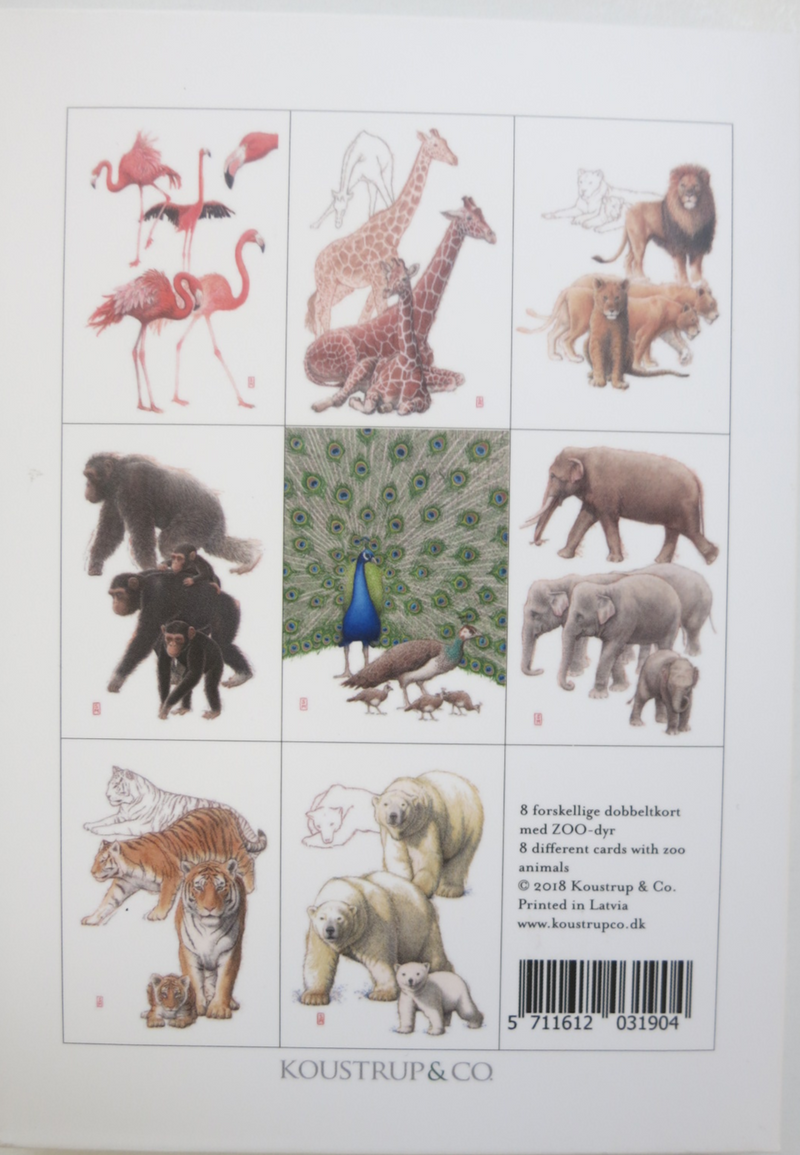Zoo Notecards