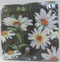 Daisies - Luncheon/Dinner Napkins