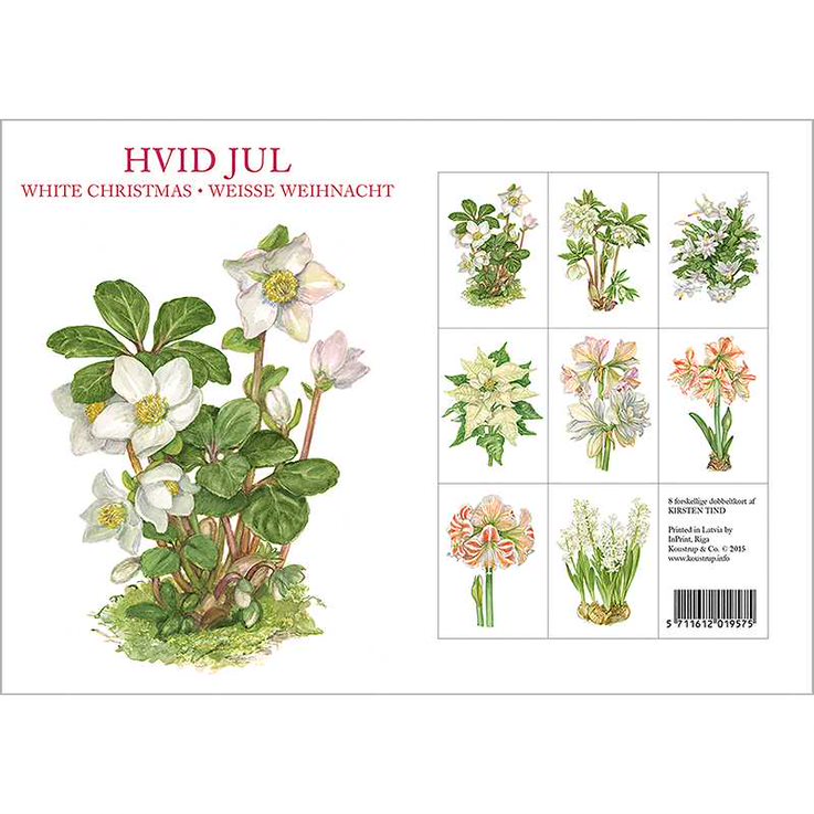 White Christmas Note Cards
