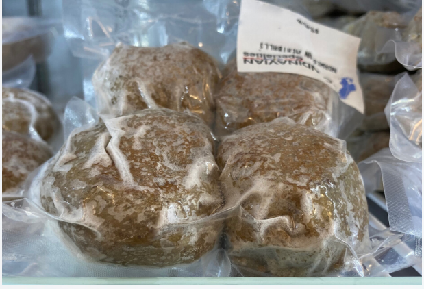 Norwegian Meatballs
