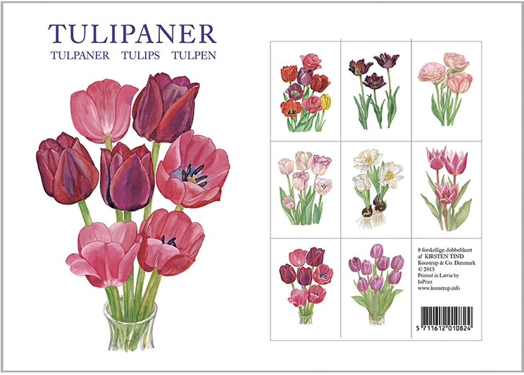 Tulip Notecards, Pack of 8