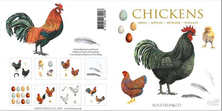Chicken Notecards, Pack of 8