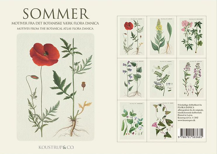 Summer Flora Danica Notecards, Pack of 8