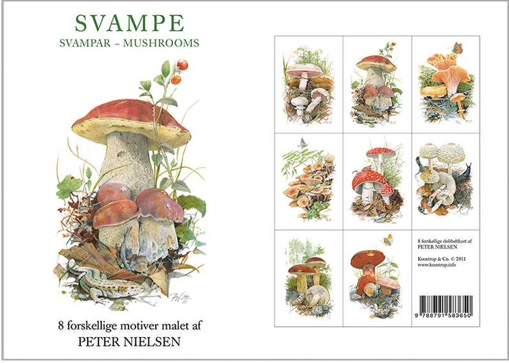 Mushroom Notecards, Pack of 8