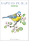 Spring Garden Birds, Pack of 8