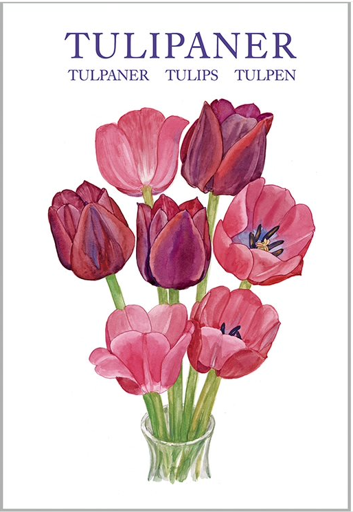Tulip Notecards, Pack of 8