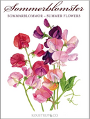 Summer Flower Note Cards, Pack of 8