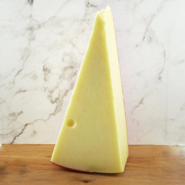Swedish Fontina