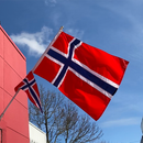 Norwegian Outdoor Flag - Nylon Material (Outdoor Use)