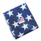 United States Indoor Flag - Polyester